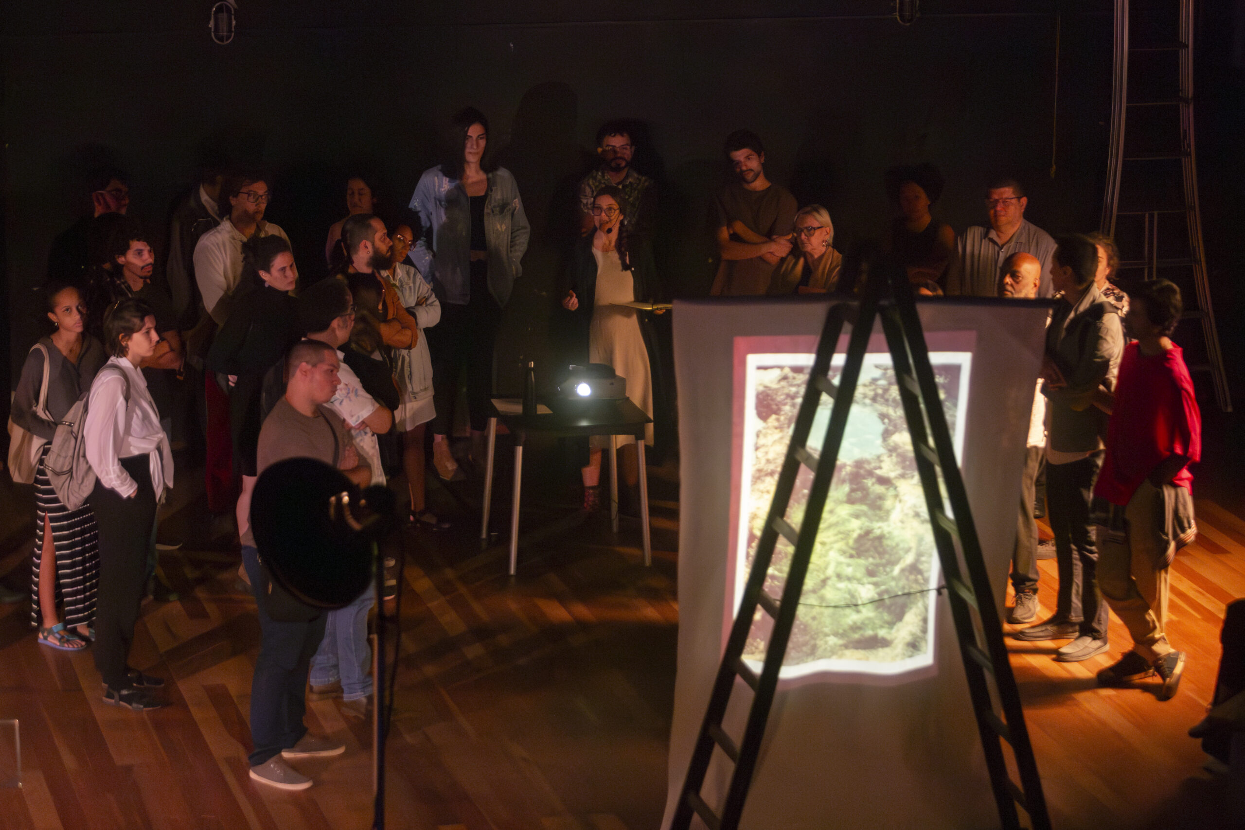 Arthur Bispo do Rosário, o Rei! e outras peças de teatro negro